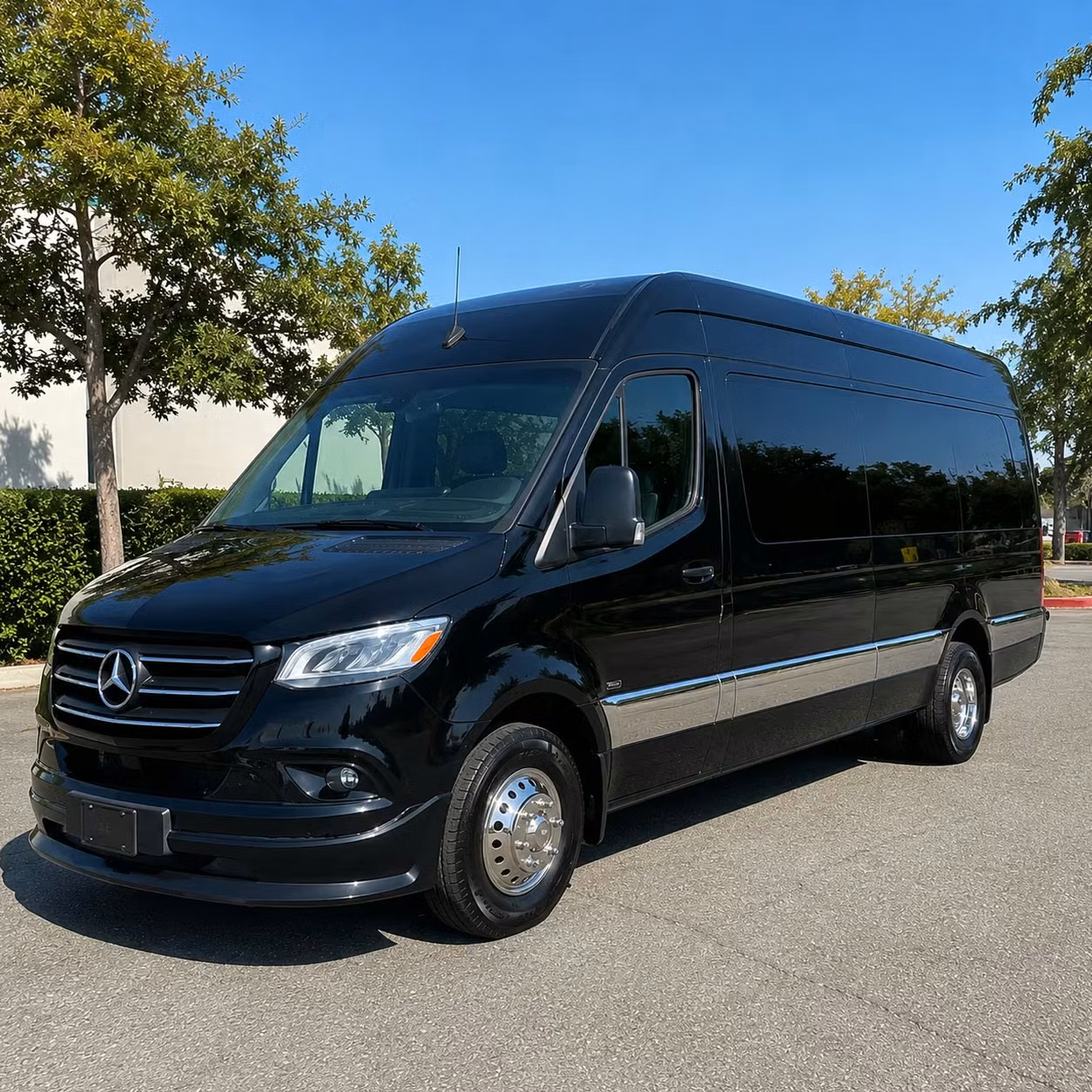 sprinter van with driver